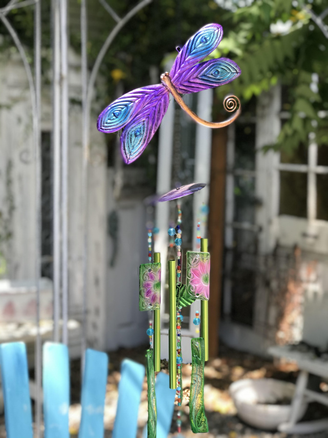 DIY KITS - dragonflyshopsandgardens